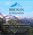 Bricklin & Newman