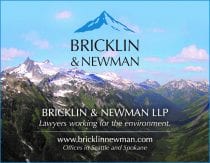 Bricklin & Newman