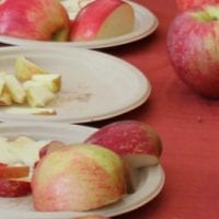 6th Annual Heirloom Apple Event