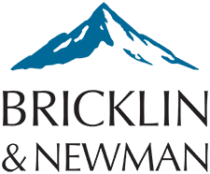Bricklin and Newman